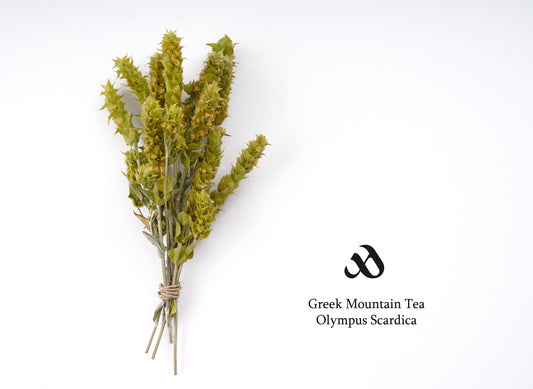Bouquet of Greek Mountain Tea with Olympus Scardica logo on a white background