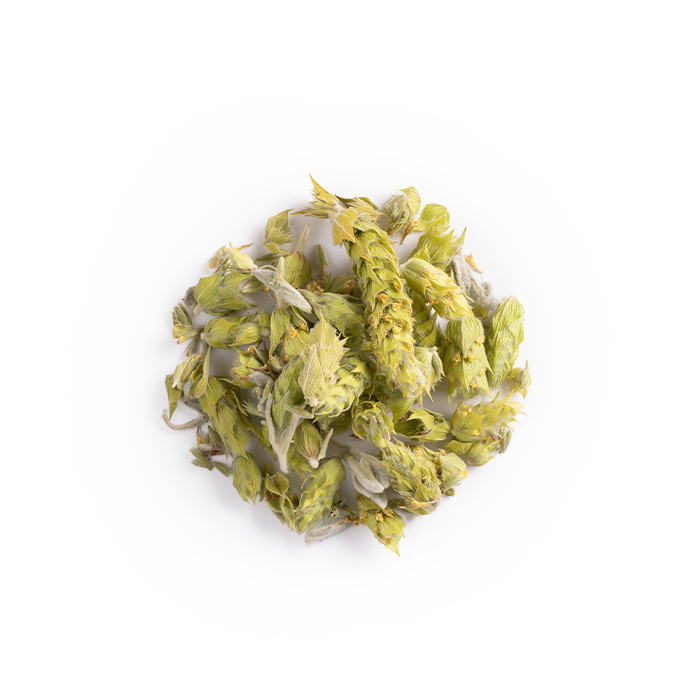 Discover the Amazing Benefits of Sideritis Scardica in Your Cup