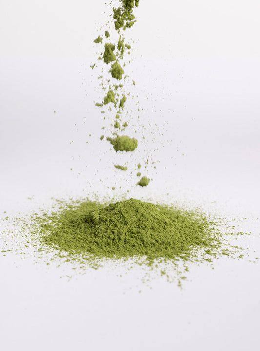 An In-depth Guide to YABUKITA And Why It Is The Essence Of Matcha