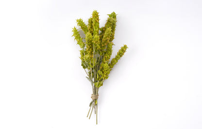  Τσάι Βουνού Ολύμπου (Sideritis Scardica)