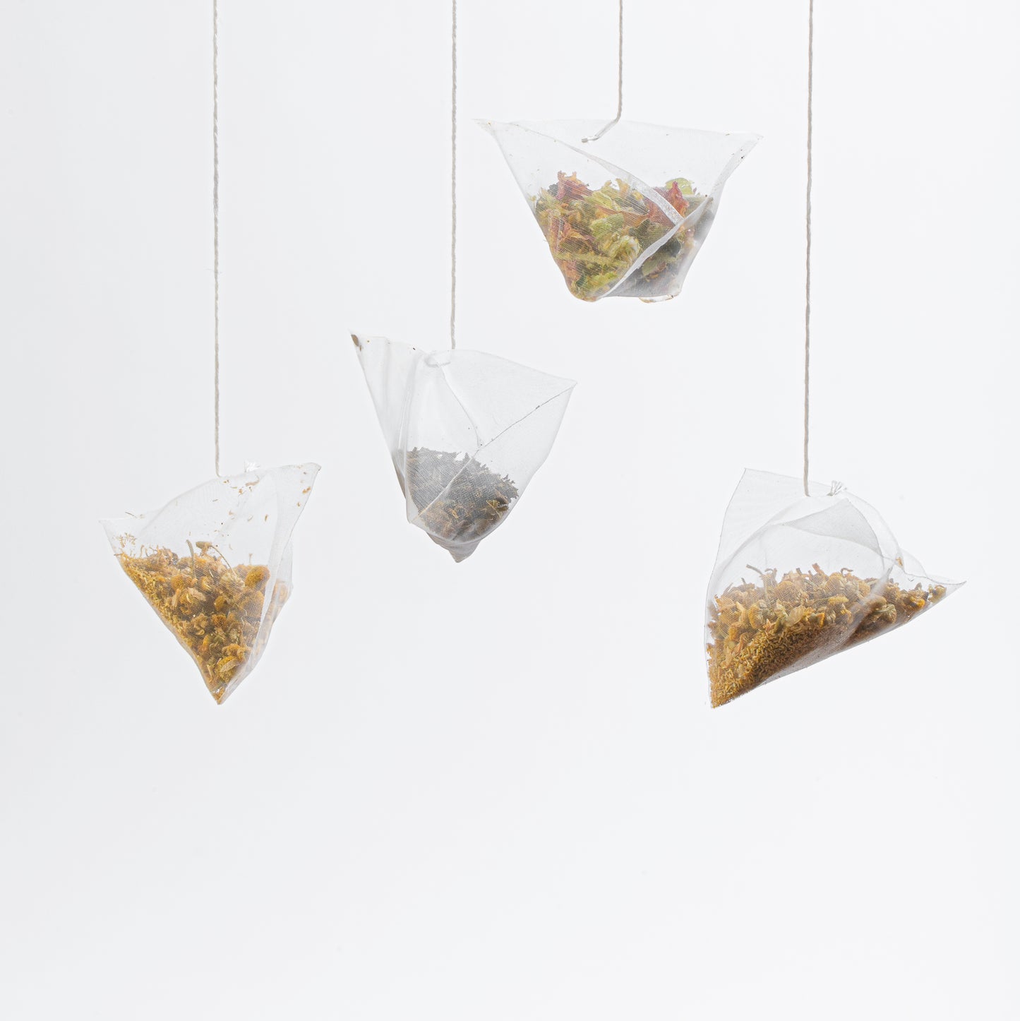 Organic Lime Ginger 25 Tea bags