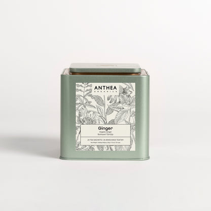 Organic Pure Ginger Tea Bags