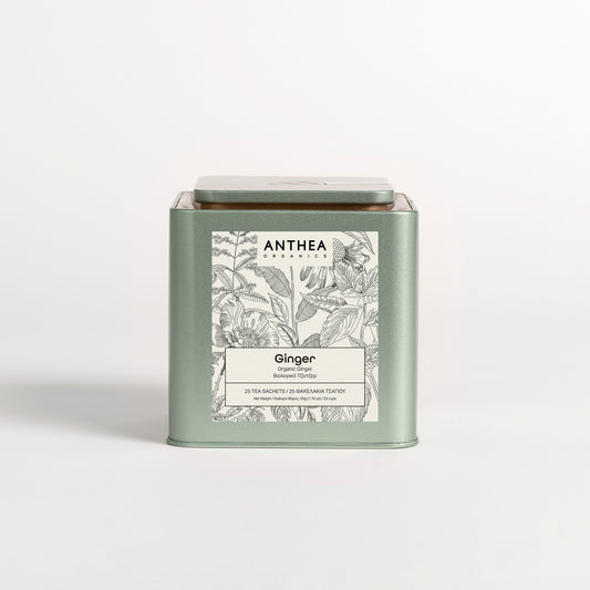 Organic Pure Ginger Tea Bags
