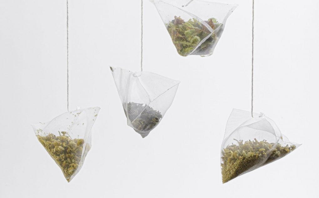 anthea organics plastic free tea bags